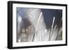 Snow on Grass, Durmitor Np, Montenegro, October 2008-Radisics-Framed Photographic Print