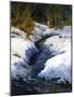 Snow on the Banks-Barbara Chenault-Mounted Art Print