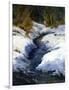 Snow on the Banks-Barbara Chenault-Framed Art Print