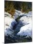 Snow on the Banks-Barbara Chenault-Mounted Art Print