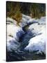 Snow on the Banks-Barbara Chenault-Stretched Canvas