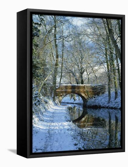 Snow on the Basingstoke Canal, Stacey's Bridge and Towpath, Winchfield, Hampshire, England, UK-Pearl Bucknall-Framed Stretched Canvas