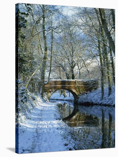 Snow on the Basingstoke Canal, Stacey's Bridge and Towpath, Winchfield, Hampshire, England, UK-Pearl Bucknall-Stretched Canvas