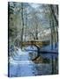 Snow on the Basingstoke Canal, Stacey's Bridge and Towpath, Winchfield, Hampshire, England, UK-Pearl Bucknall-Stretched Canvas