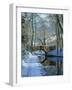 Snow on the Basingstoke Canal, Stacey's Bridge and Towpath, Winchfield, Hampshire, England, UK-Pearl Bucknall-Framed Photographic Print