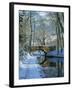 Snow on the Basingstoke Canal, Stacey's Bridge and Towpath, Winchfield, Hampshire, England, UK-Pearl Bucknall-Framed Photographic Print