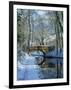 Snow on the Basingstoke Canal, Stacey's Bridge and Towpath, Winchfield, Hampshire, England, UK-Pearl Bucknall-Framed Photographic Print