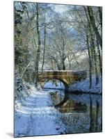 Snow on the Basingstoke Canal, Stacey's Bridge and Towpath, Winchfield, Hampshire, England, UK-Pearl Bucknall-Mounted Photographic Print