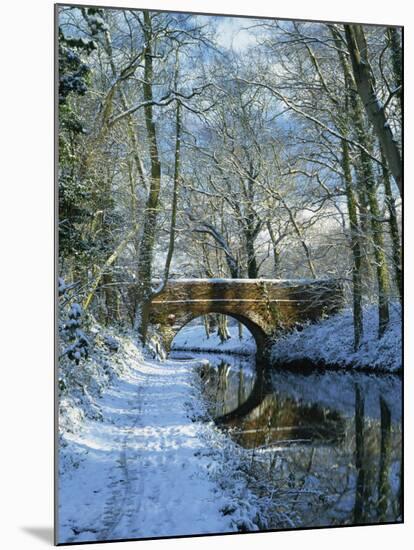 Snow on the Basingstoke Canal, Stacey's Bridge and Towpath, Winchfield, Hampshire, England, UK-Pearl Bucknall-Mounted Photographic Print
