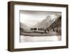 Snow on the Galibier, 1924-Presse ’E Sports-Framed Photographic Print