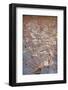 Snow on the Prairie-Steve Gadomski-Framed Photographic Print