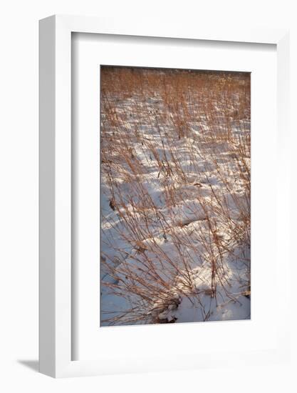 Snow on the Prairie-Steve Gadomski-Framed Photographic Print