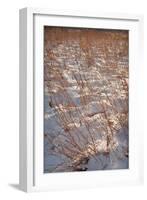 Snow on the Prairie-Steve Gadomski-Framed Photographic Print