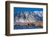 Snow on the Sierra Nevada Range, California-Zandria Muench Beraldo-Framed Photographic Print