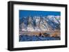 Snow on the Sierra Nevada Range, California-Zandria Muench Beraldo-Framed Photographic Print