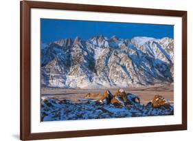 Snow on the Sierra Nevada Range, California-Zandria Muench Beraldo-Framed Photographic Print