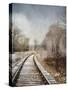 Snow on the Tracks-Jai Johnson-Stretched Canvas