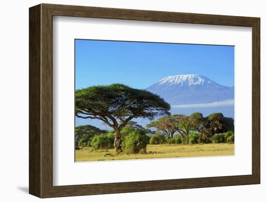 Snow on Top of Mount Kilimanjaro in Amboseli-Volodymyr Burdiak-Framed Photographic Print