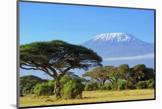 Snow on Top of Mount Kilimanjaro in Amboseli-Volodymyr Burdiak-Mounted Photographic Print