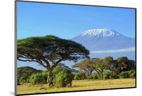 Snow on Top of Mount Kilimanjaro in Amboseli-Volodymyr Burdiak-Mounted Photographic Print