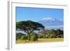 Snow on Top of Mount Kilimanjaro in Amboseli-Volodymyr Burdiak-Framed Photographic Print