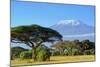 Snow on Top of Mount Kilimanjaro in Amboseli-Volodymyr Burdiak-Mounted Photographic Print