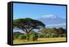 Snow on Top of Mount Kilimanjaro in Amboseli-Volodymyr Burdiak-Framed Stretched Canvas