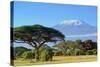 Snow on Top of Mount Kilimanjaro in Amboseli-Volodymyr Burdiak-Stretched Canvas