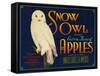 Snow Owl Apple Label - Yakima, WA-Lantern Press-Framed Stretched Canvas