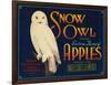 Snow Owl Apple Label - Yakima, WA-Lantern Press-Framed Art Print