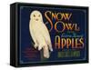 Snow Owl Apple Label - Yakima, WA-Lantern Press-Framed Stretched Canvas