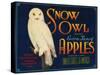 Snow Owl Apple Label - Yakima, WA-Lantern Press-Stretched Canvas