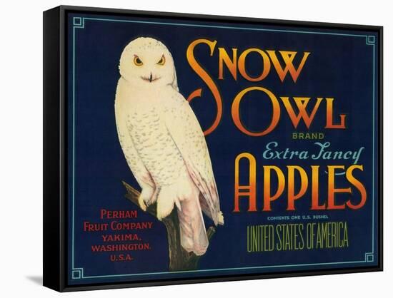 Snow Owl Apple Label - Yakima, WA-Lantern Press-Framed Stretched Canvas