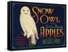 Snow Owl Apple Label - Yakima, WA-Lantern Press-Framed Stretched Canvas