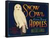 Snow Owl Apple Label - Yakima, WA-Lantern Press-Framed Stretched Canvas