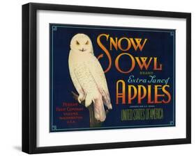 Snow Owl Apple Label - Yakima, WA-Lantern Press-Framed Art Print