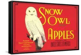 Snow Owl Apple Label-null-Framed Stretched Canvas