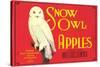 Snow Owl Apple Label-null-Stretched Canvas