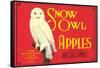 Snow Owl Apple Label-null-Framed Stretched Canvas