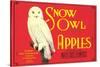 Snow Owl Apple Label-null-Stretched Canvas