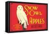 Snow Owl Apple Label-null-Framed Stretched Canvas