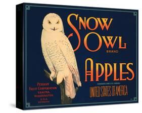 Snow Owl Brand Apples-null-Stretched Canvas