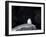 Snow Owl, Nyctea Scandiaca, Churchill, Manitoba, Canada, North America-Thorsten Milse-Framed Photographic Print