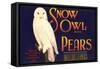 Snow Owl Pear Label-null-Framed Stretched Canvas