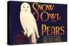 Snow Owl Pear Label-null-Stretched Canvas