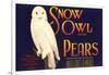 Snow Owl Pear Label-null-Framed Art Print