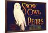 Snow Owl Pear Label-null-Framed Art Print