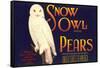 Snow Owl Pear Label-null-Framed Stretched Canvas