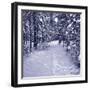 Snow Path in Winter Forest-beerkoff-Framed Photographic Print