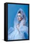 Snow Queen-Vagengeym-Framed Stretched Canvas
